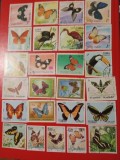 FLUTURI, PĂSĂRI - SERII ȘTAMPILATE