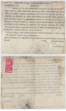 Romania, Judecatoria de ocol, Deciziune (III), Sannicolaul Mare, 1928