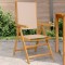 Gossi scaune de gradina 2 buc., taupe, lemn masiv acacia si textil