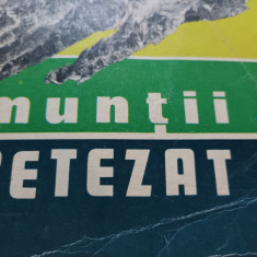 MUNTII RETEZAT - NAE POPESCU, ED STADION 1973, 317 PAG