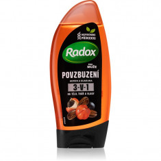 Radox Men Invigorating Gel de duș pentru bărbați 3 in 1 225 ml