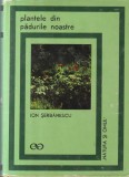 Ion Serbanescu - Plantele din padurile noastre