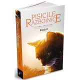 Pisicile Razboinice Vol.18: Rasarit - Erin Hunter, ALL