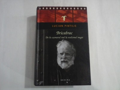 BRICABRAC - LUCIAN PINTILIE foto