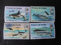 Tristan da Cunha-Fauna marina-serie completa-nestampilate foto