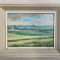 Peste deal - tablou din 1948, pictura originala ulei pe carton panzat, 53x43cm