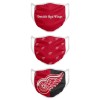 Detroit Red Wings măști Foco set of 3 pieces EU - mărime pentru adulți