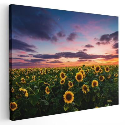 Tablou peisaj floarea soarelui apus Tablou canvas pe panza CU RAMA 30x40 cm foto
