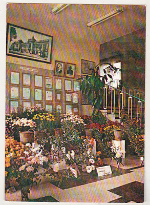 bnk cp Iasi - Gradina botanica - Expozitia de toamna - necirculata foto