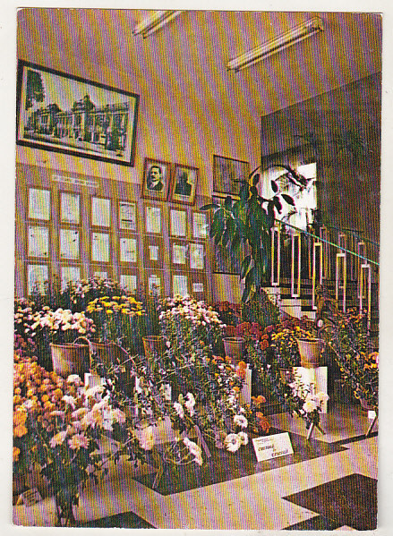 bnk cp Iasi - Gradina botanica - Expozitia de toamna - necirculata