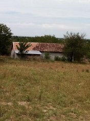 Ocazie casa la Dunare- Daeni teren 5000 mp foto