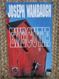 Joseph Wambaugh - Executia