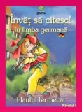 Flautul fermecat. Nivelul 1/***
