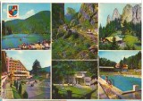 CPI B 11393 CARTE POSTALA - FRUMUSETILE JUDETULUI HARGHITA, Circulata, Fotografie