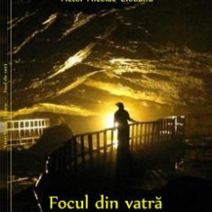 Focul din vatra - Victor Nicolae Ciobanu