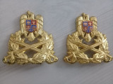 Insignă militară-Cuc-Caschetă-Emblemă-Coifură-Forțe Terestre,Nefolosite-2 buc