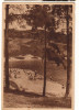 CPIB 18237 CARTE POSTALA - SLANIC PRAHOVA. PLAJA, RPR, 1953, LIBRARIA NOASTRA, Circulata, Fotografie