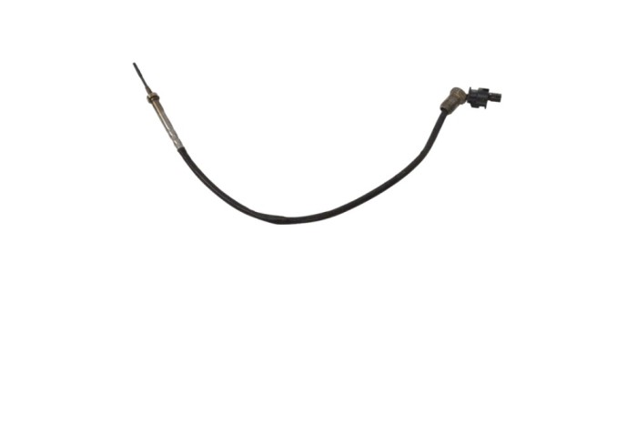 Senzor de temperatură BMW 1 F20 2016 OEM: 8589814 17495984
