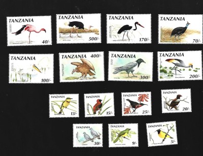 tanzania pasari mnh foto