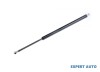 Amortizor hayon Honda Accord 6 (1998-2003)[CK,CG,CH,CF8,CL] #1