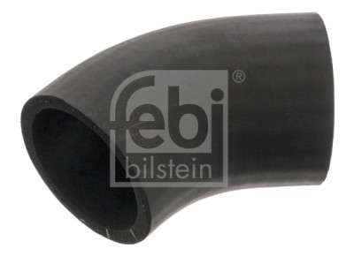 FEBI BILSTEIN 45338 Furtun radiator foto