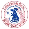 Abtibild sticker cu Sobolan albastru si Floare de Piersic &amp;#8211; mare