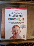 Secretele Inteligenței Copilului