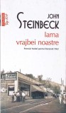 IARNA VRAJBEI NOASTRE-JOHN STEINBECK-342331