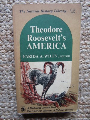 Theodore Roosevelt&amp;#039;s America - Farida A. Wiley foto