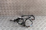 Cablaj ușă st&acirc;nga spate TESLA MODEL S 2018 OEM: 1004425-00-R | 31873622