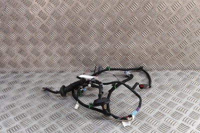 Cablaj ușă st&amp;acirc;nga spate TESLA MODEL S 2018 OEM: 1004425-00-R | 31873622 foto