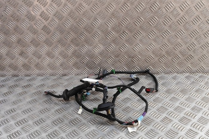 Cablaj ușă st&acirc;nga spate TESLA MODEL S 2018 OEM: 1004425-00-R | 31873622