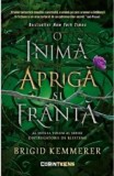 O inima apriga si franta. Seria Distrugatorii de blesteme Vol.2 - Brigid Kemmerer - Corint