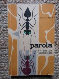 I HALIFMAN - PAROLA ANTENELOR INCRUCISATE