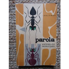 I HALIFMAN - PAROLA ANTENELOR INCRUCISATE