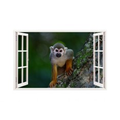 Sticker decorativ, Fereastra 3D, Maimuta, 85 cm, 226STK