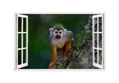 Sticker decorativ, Fereastra 3D, Maimuta, 85 cm, 226STK foto