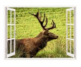 Sticker decorativ, Fereastra 3D, Cerb, 85 cm, 288STK, natura si peisaje