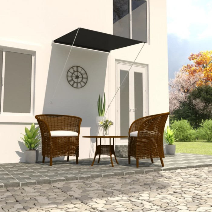 vidaXL Copertină retractabilă, antracit, 100 x 150 cm 145891