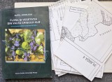 FLORA SI VEGETATIA DIN VALEA CRISULUI ALB - Aurel Ardelean