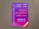 CULEGERE DE PROBLEME PENTRU LICEU CLASELE IX-XII C NASTASESCU 2004 -17/2