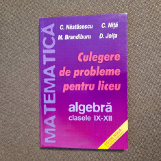 CULEGERE DE PROBLEME PENTRU LICEU CLASELE IX-XII C NASTASESCU 2004 -17/2