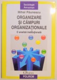 ORGANIZARE SI CAMPURI ORGANIZATIONALE , O ANALIZA INSTITUTIONALA , 2006