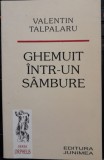 Valentin Talpalaru, Ghemuit intr-un sambure, poezie, Junimea, prez Mihai Ursachi