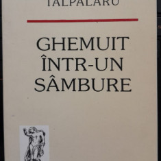 Valentin Talpalaru, Ghemuit intr-un sambure, poezie, Junimea, prez Mihai Ursachi