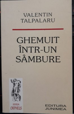 Valentin Talpalaru, Ghemuit intr-un sambure, poezie, Junimea, prez Mihai Ursachi foto