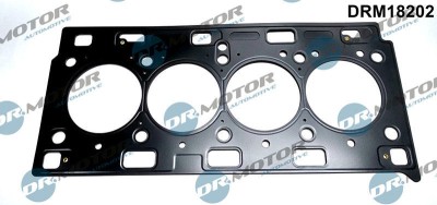 Garnitura, Chiulasa 268465 DRM18202 foto