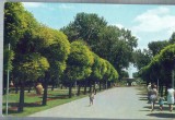 AX 311 CP VECHE -GALATI . VEDERE DIN PARC