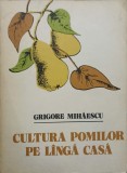CULTURA POMILOR PE LANGA CASA-GRIGORE MIHAESCU-275083