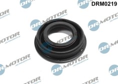 Etansare, Suport Injector 243952 DRM0219